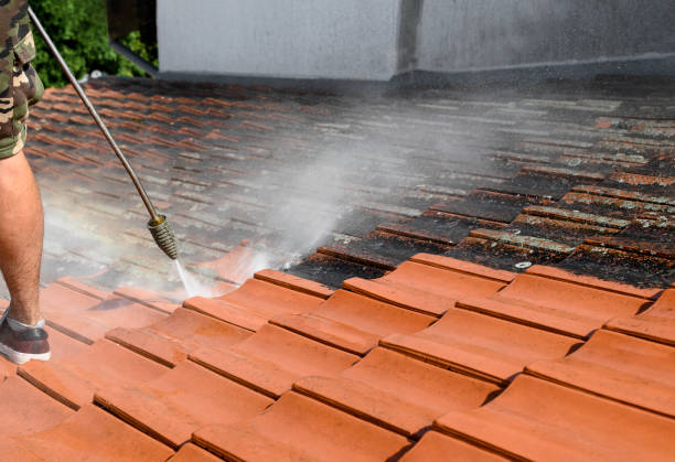 Best Pressure Washing Near Me  in Teutopolis, IL