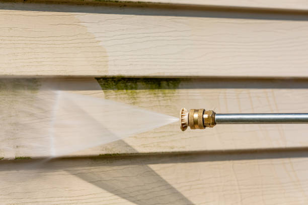 Best Affordable Pressure Washing  in Teutopolis, IL